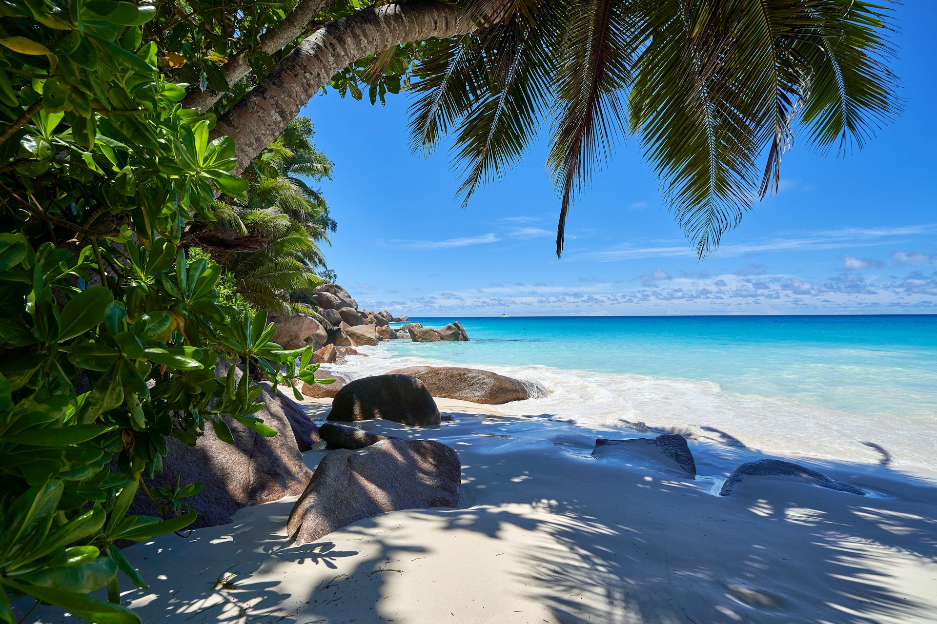 relajate-en-las-mejores-playas-paradisiacas-en-un-crucero-por-el-indico